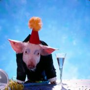 Noeatcatfish