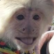 Escort Reviews Monkey