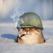 Cats War on Steam