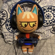 Katt from Animal Crossing(real)