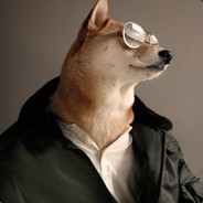  [ Steam Profile ] 