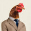 Chicken-avatar