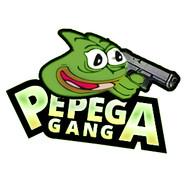 Homepage - The Pepegas Team