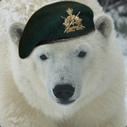Official Polar Bear Group