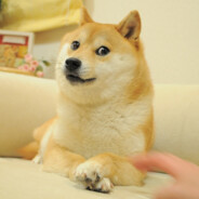 Steam Community :: Shibe